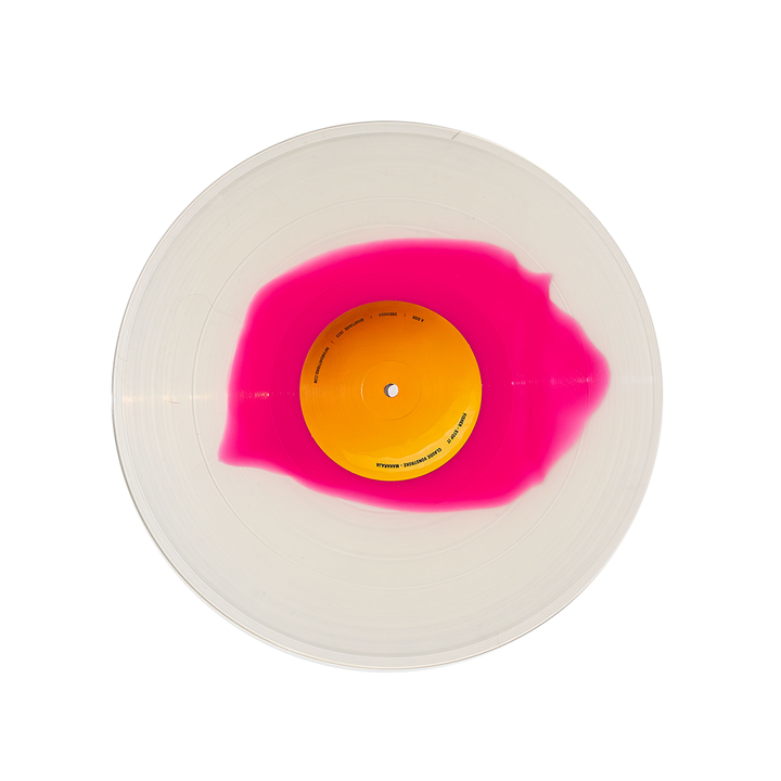 Dirtybird Hand Picked Vinyl Box Set: Vol. 1