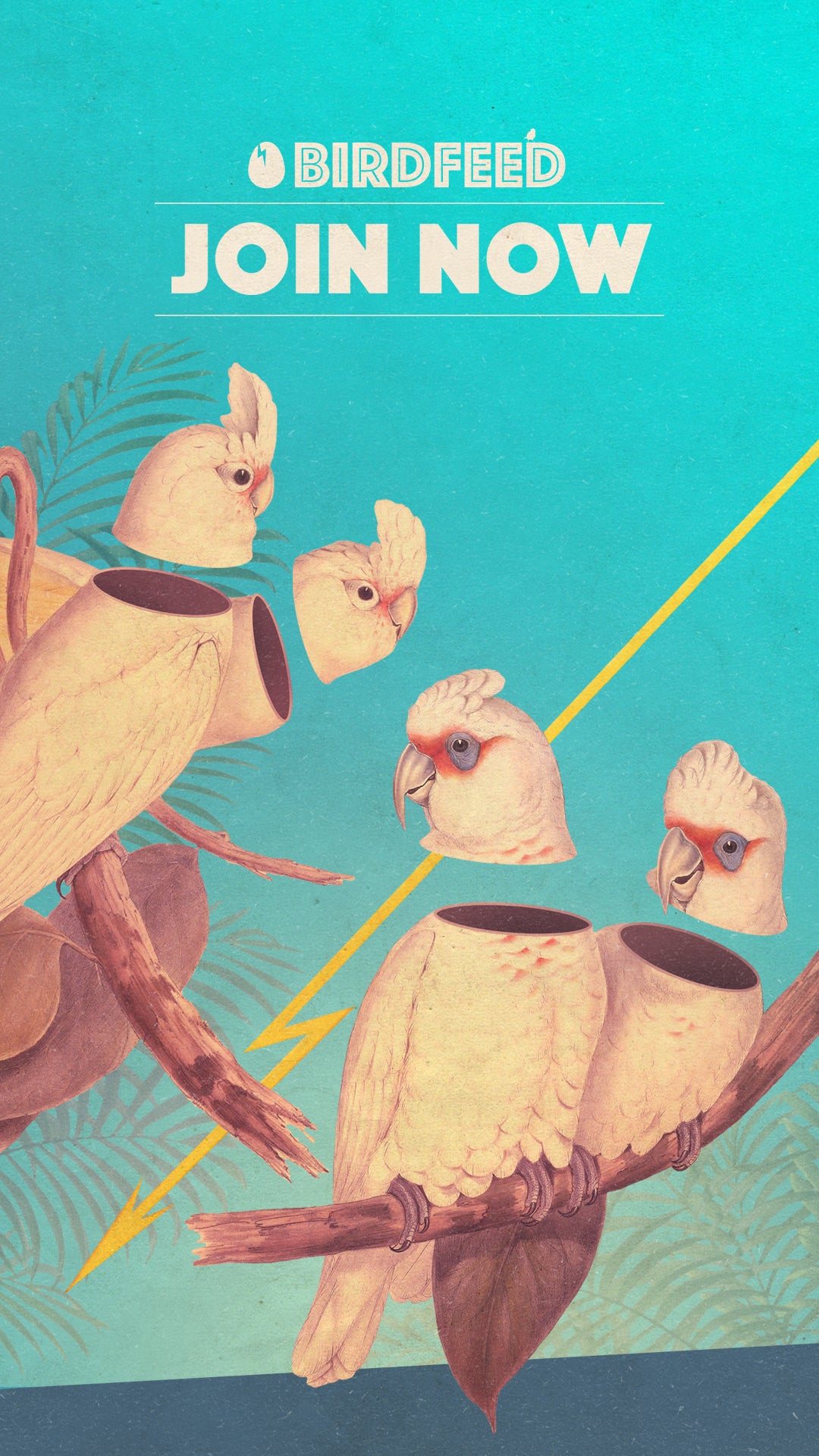 Dirty Bird Funk『Dirty Bird Funk &～』g-rap Dirty Bird Funk『Dirty