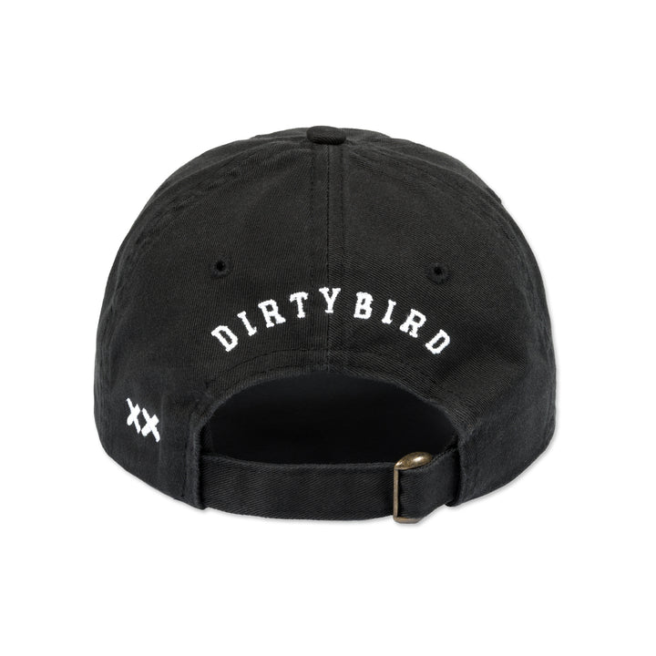 Dirtybird 20th Anniversary Hat