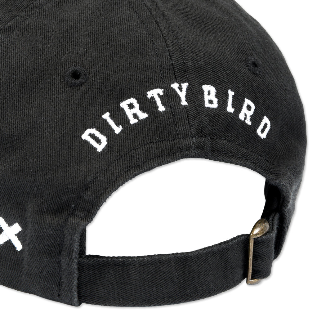 Dirtybird 20th Anniversary Hat
