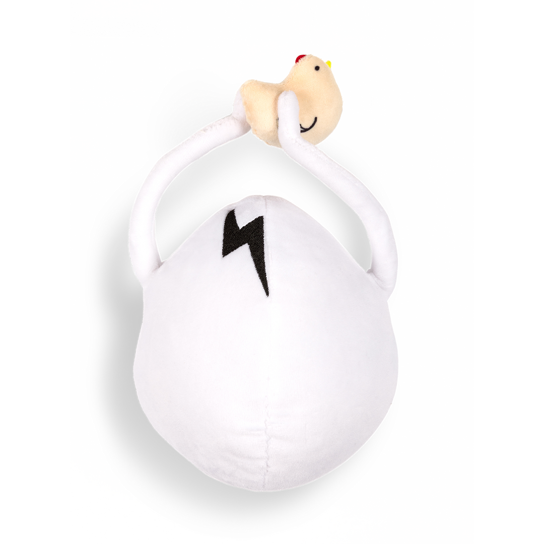 DIRTY BIRDY - Fried Or Fertilized