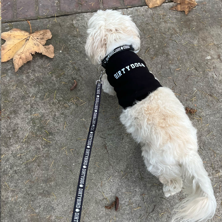 Dirtydog Leash