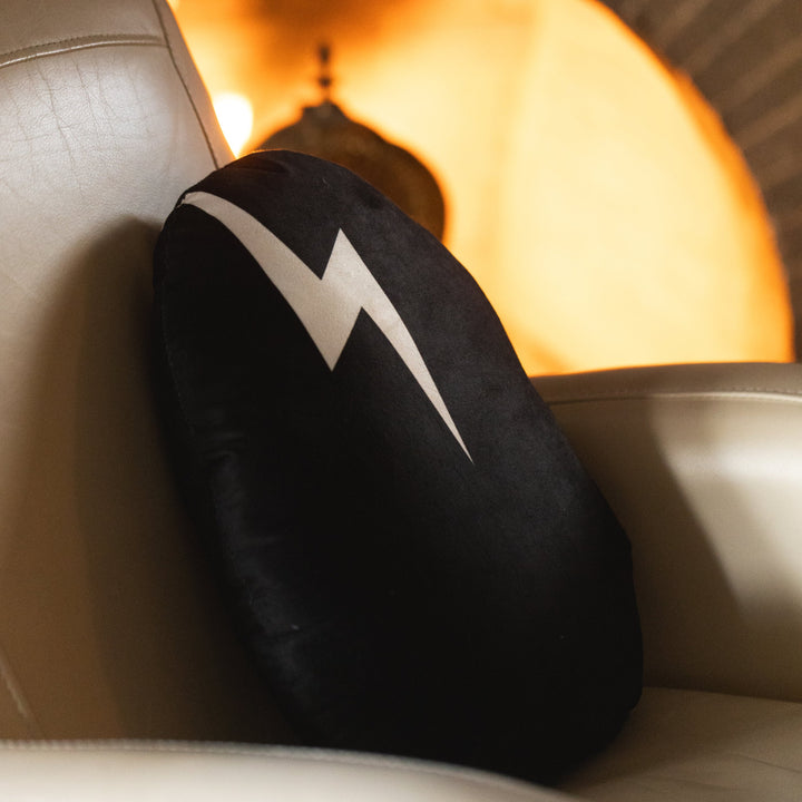 Dirtybird Egg Pillow