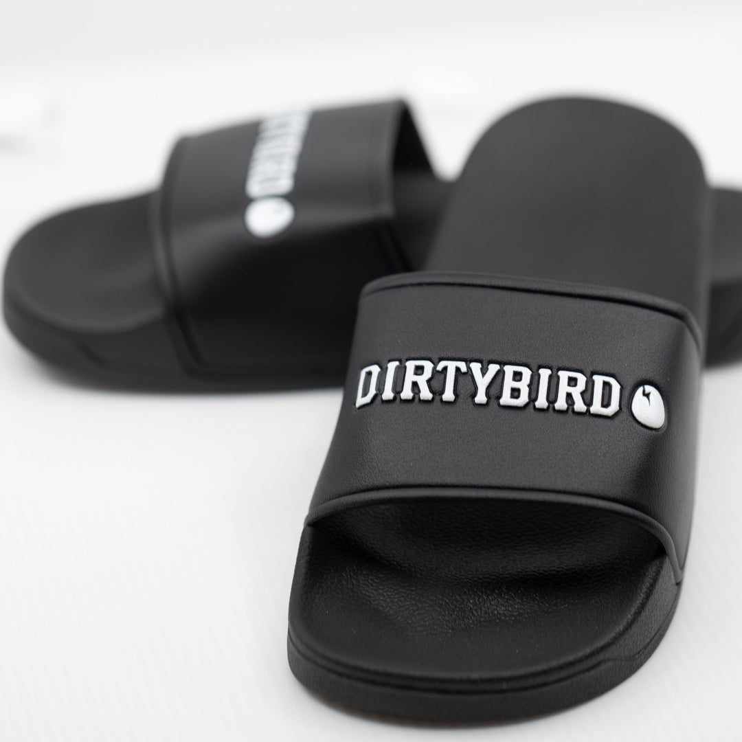 Dirtybird Slides