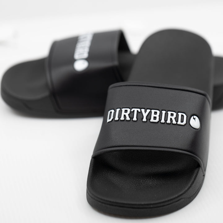 Dirtybird Slides