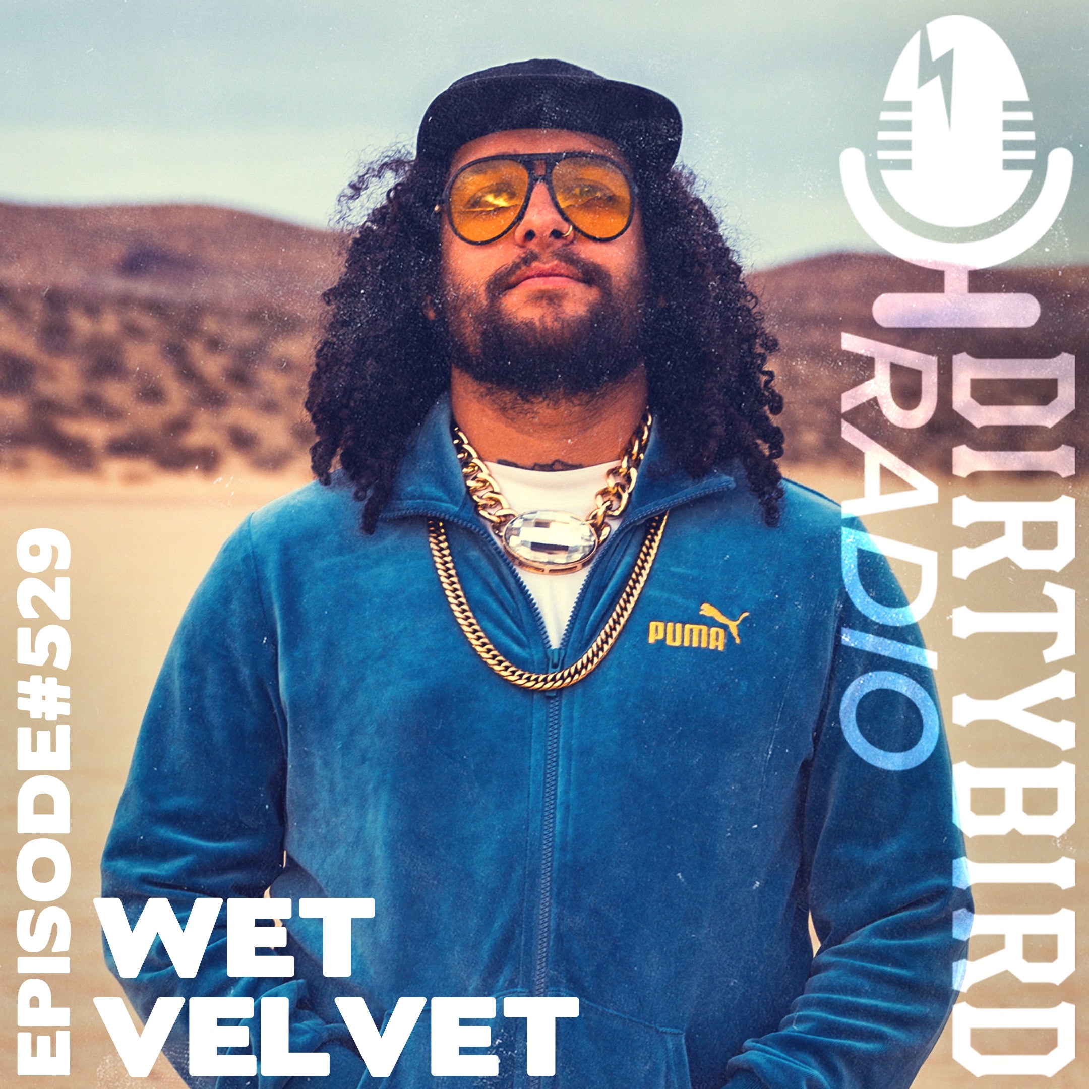 Dirtybird Records – Dirtybird Store
