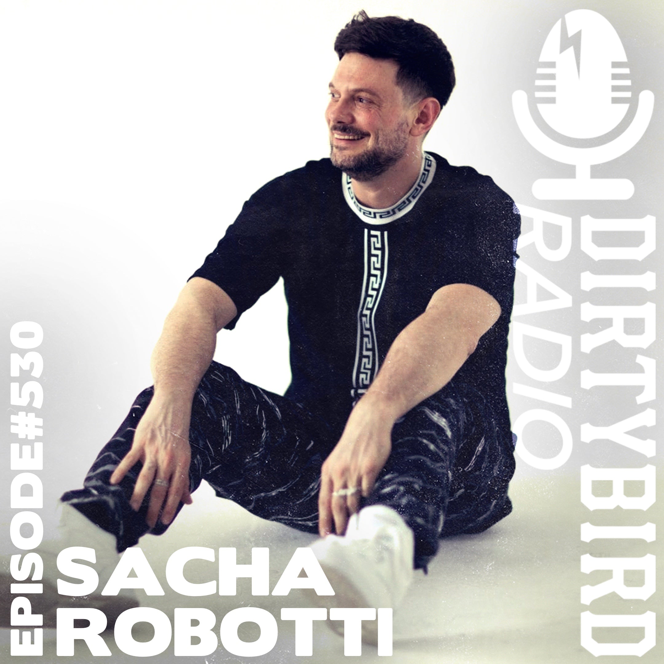 Dirtybird Records – Dirtybird Store
