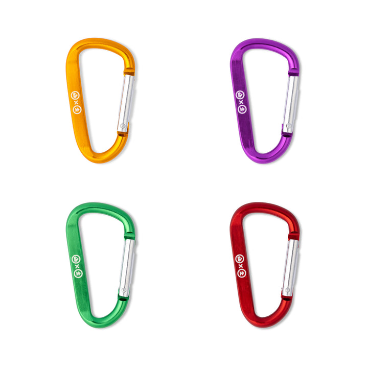 Carabiner - Dirtybird Campout + Northern Nights 2025