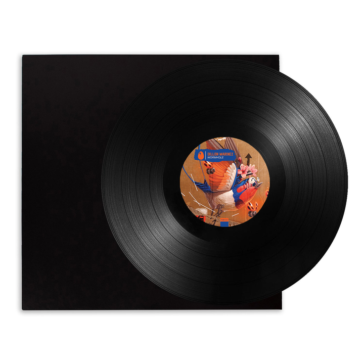 Dillon Marinez: Wormhole Vinyl