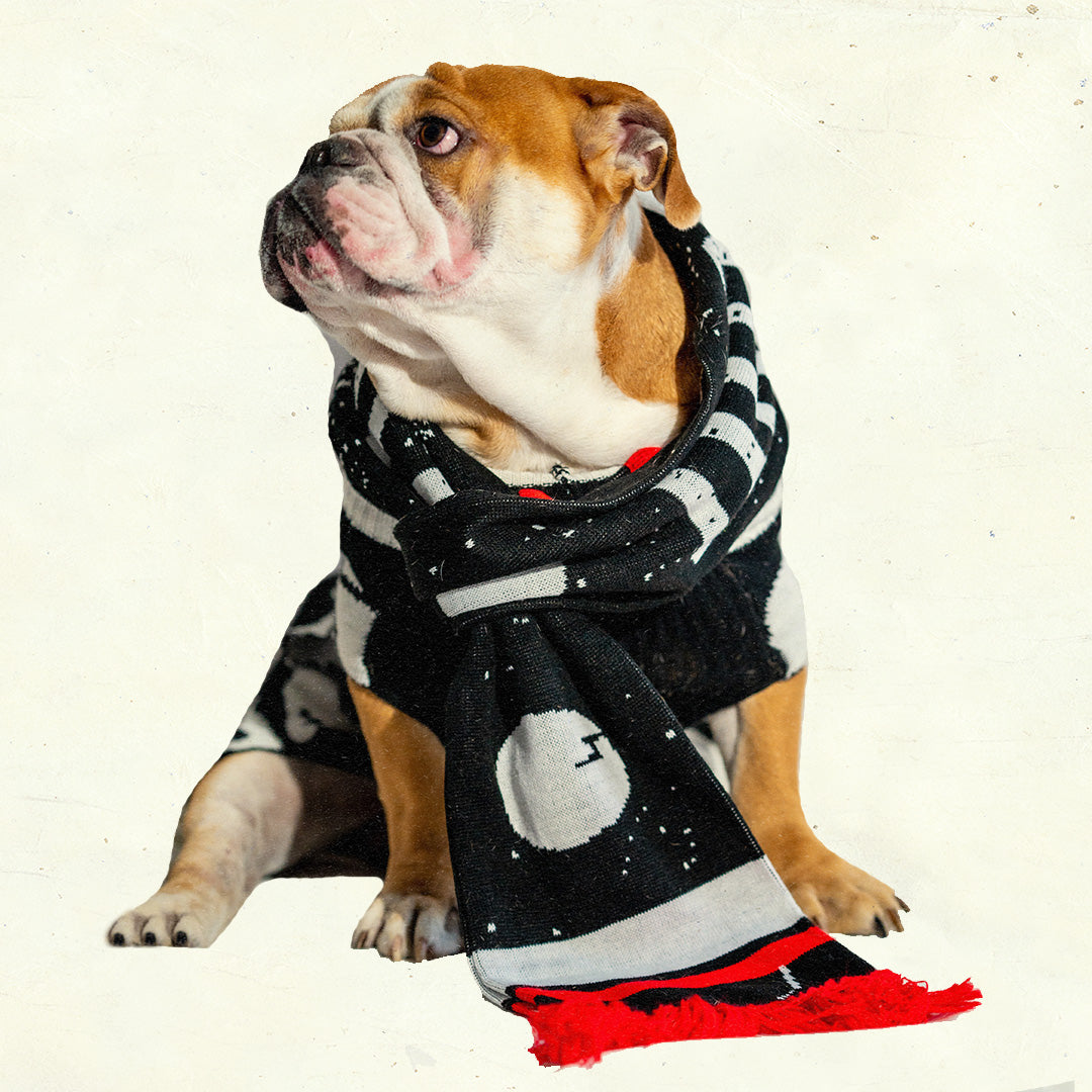 Dirtybird Holiday Scarf