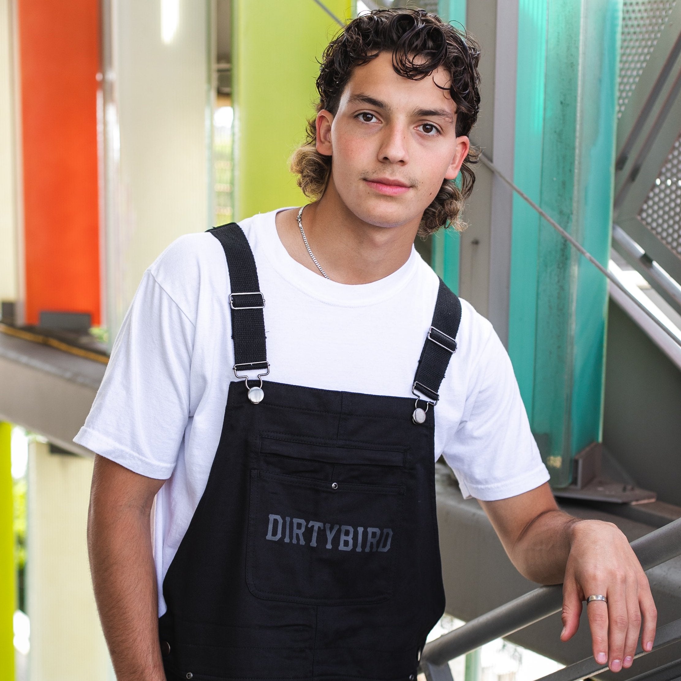 Arch Logo Overalls – Dirtybird Store