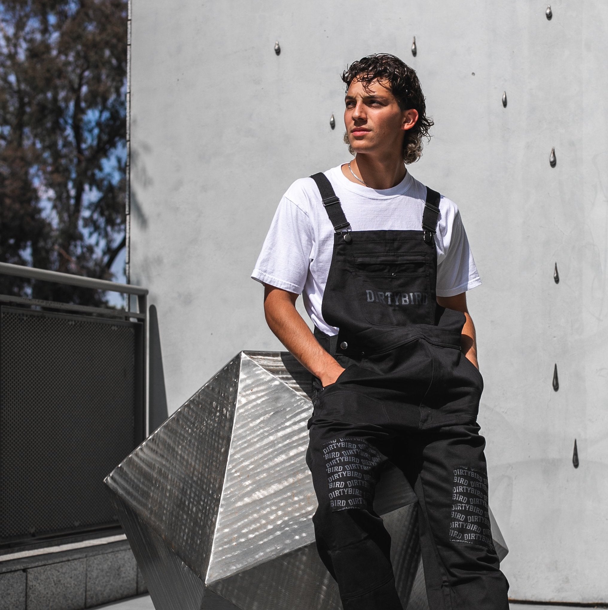 Arch Logo Overalls – Dirtybird Store